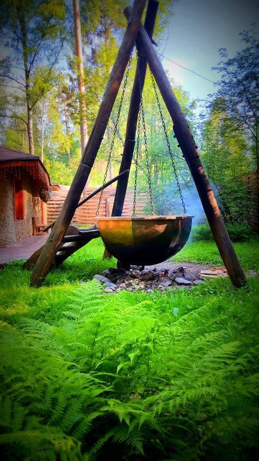 Фото Гостиницы Гуси-Лебеди Ногинск 31