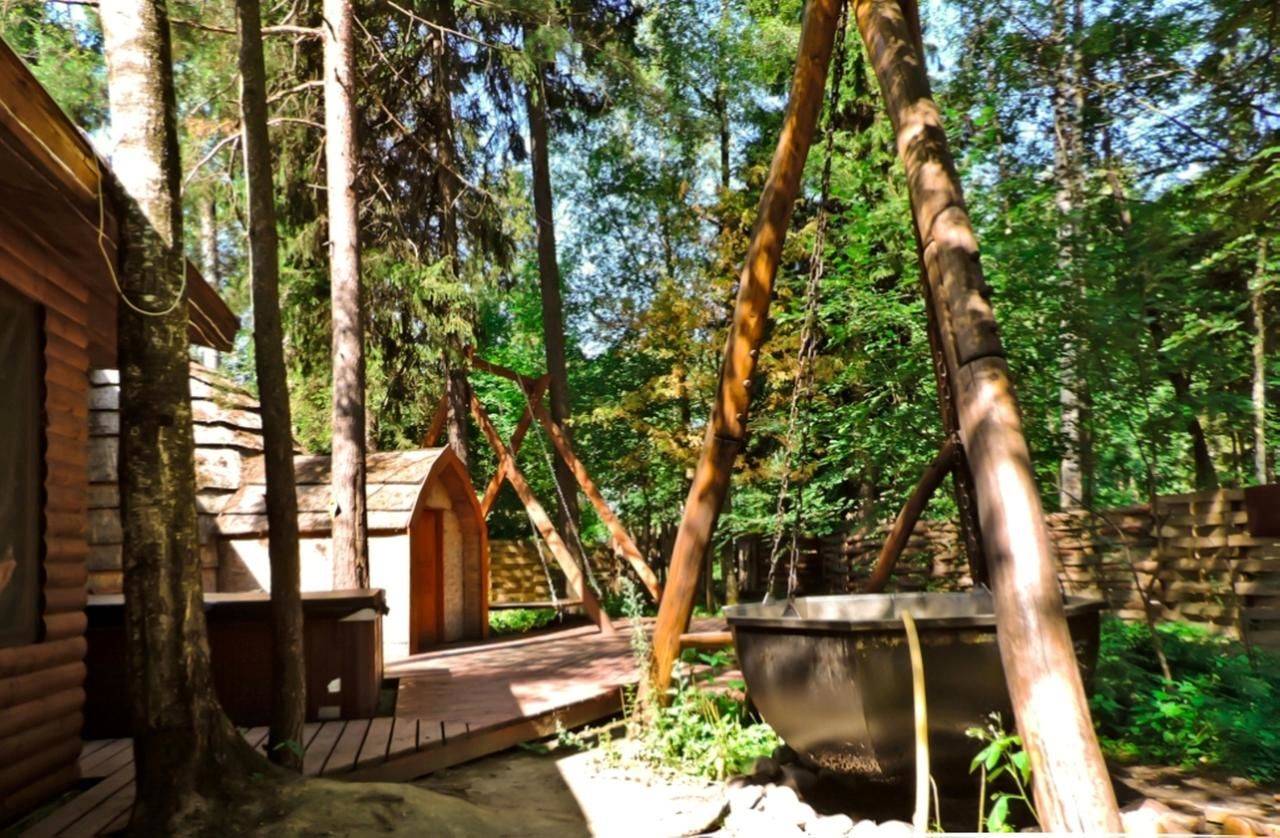 Фото Гостиницы Гуси-Лебеди Ногинск 43