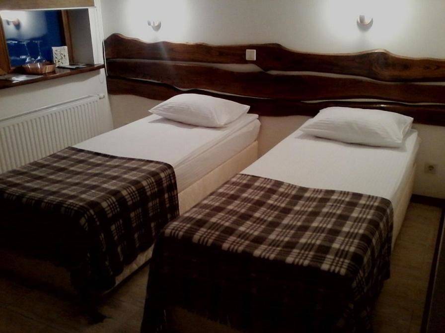 Фото Гостиницы Гуси-Лебеди Ногинск 46