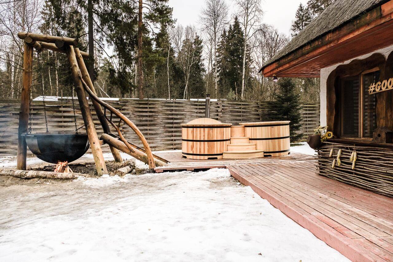 Фото Гостиницы Гуси-Лебеди Ногинск 5