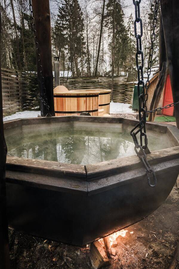 Фото Гостиницы Гуси-Лебеди Ногинск 6