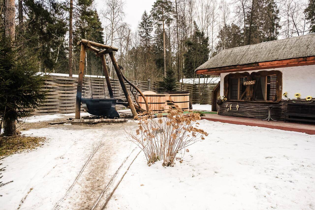 Фото Гостиницы Гуси-Лебеди Ногинск 7