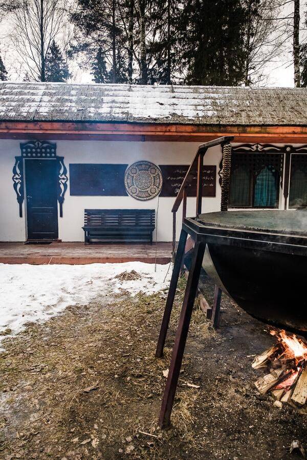 Фото Гостиницы Гуси-Лебеди Ногинск 8