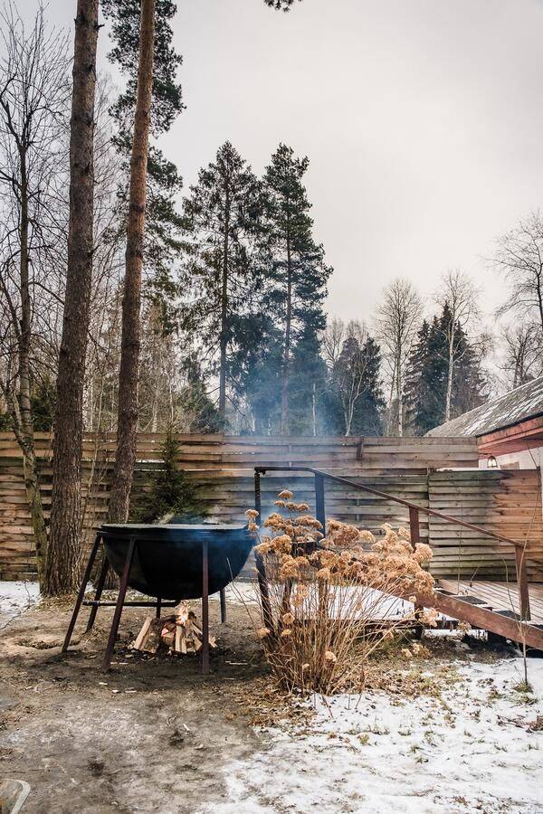 Фото Гостиницы Гуси-Лебеди Ногинск 9